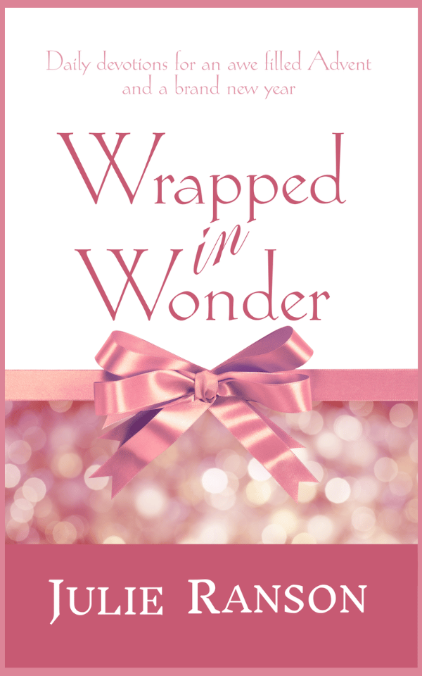 Wrapped in Wonder book cover