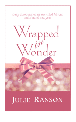 Wrapped in wonder book cover